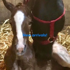 🥰 check out new items